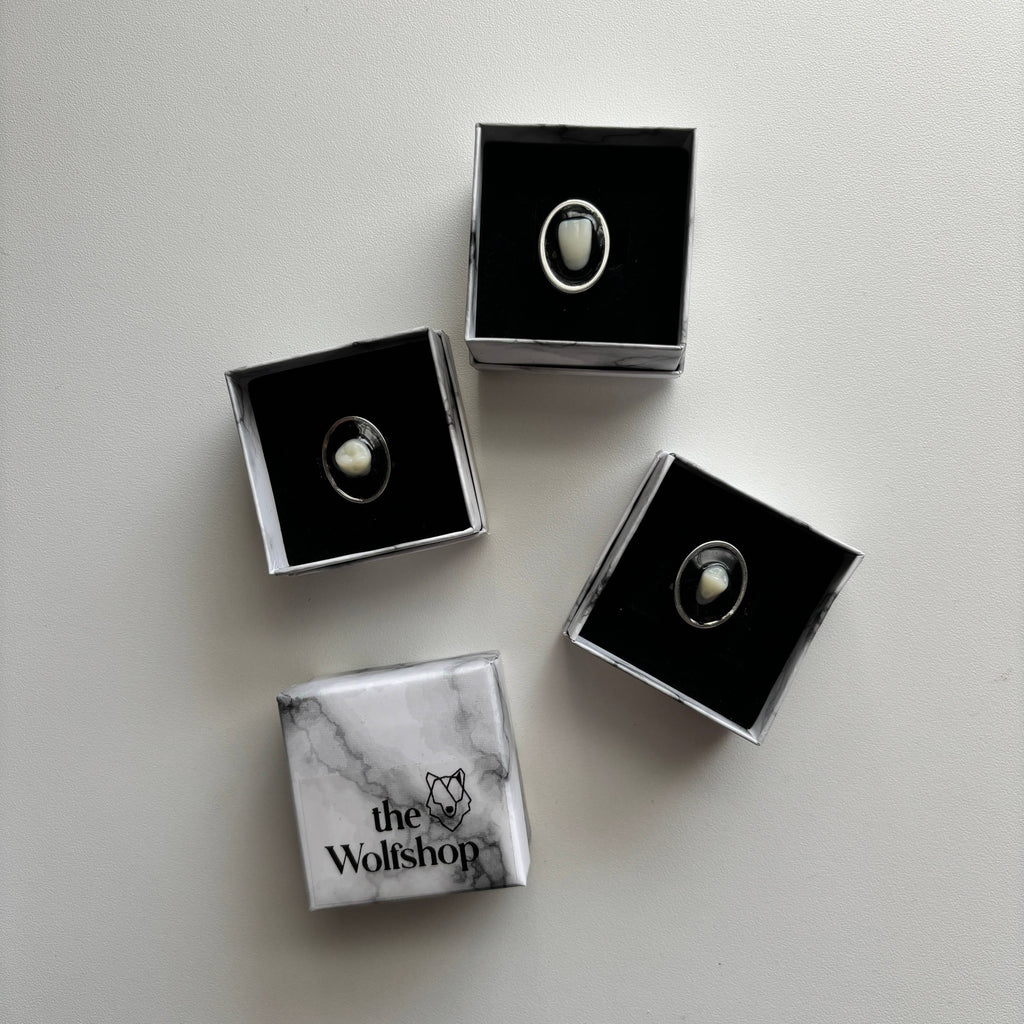 Oddity Ring - Resin Human Tooth Molar 