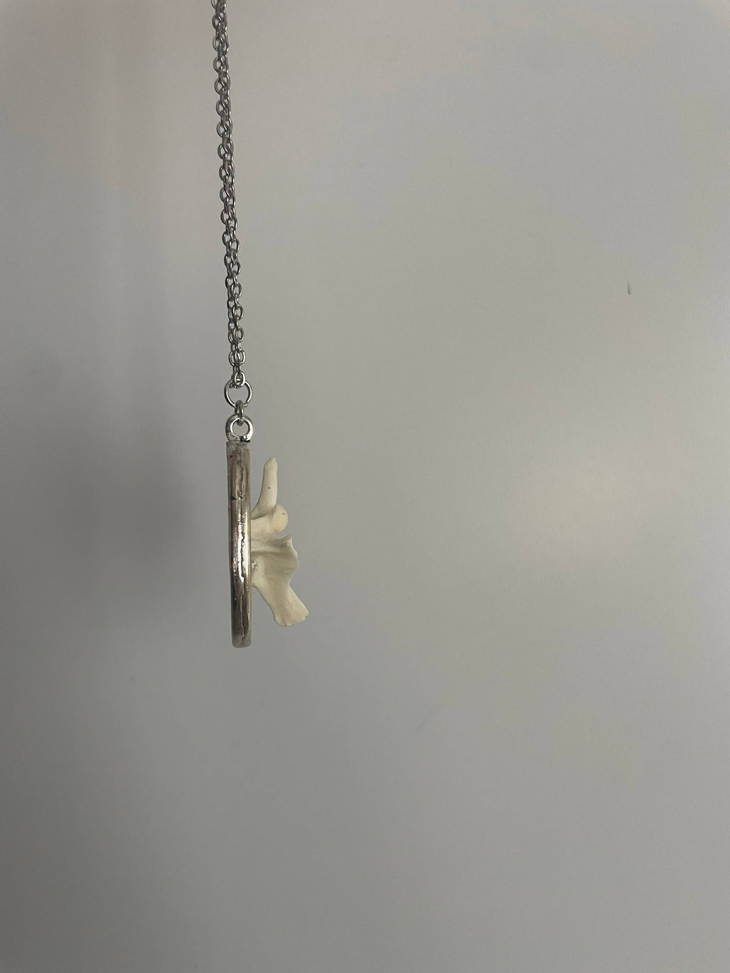 Oddity Necklace - Ball Python Vertebrae