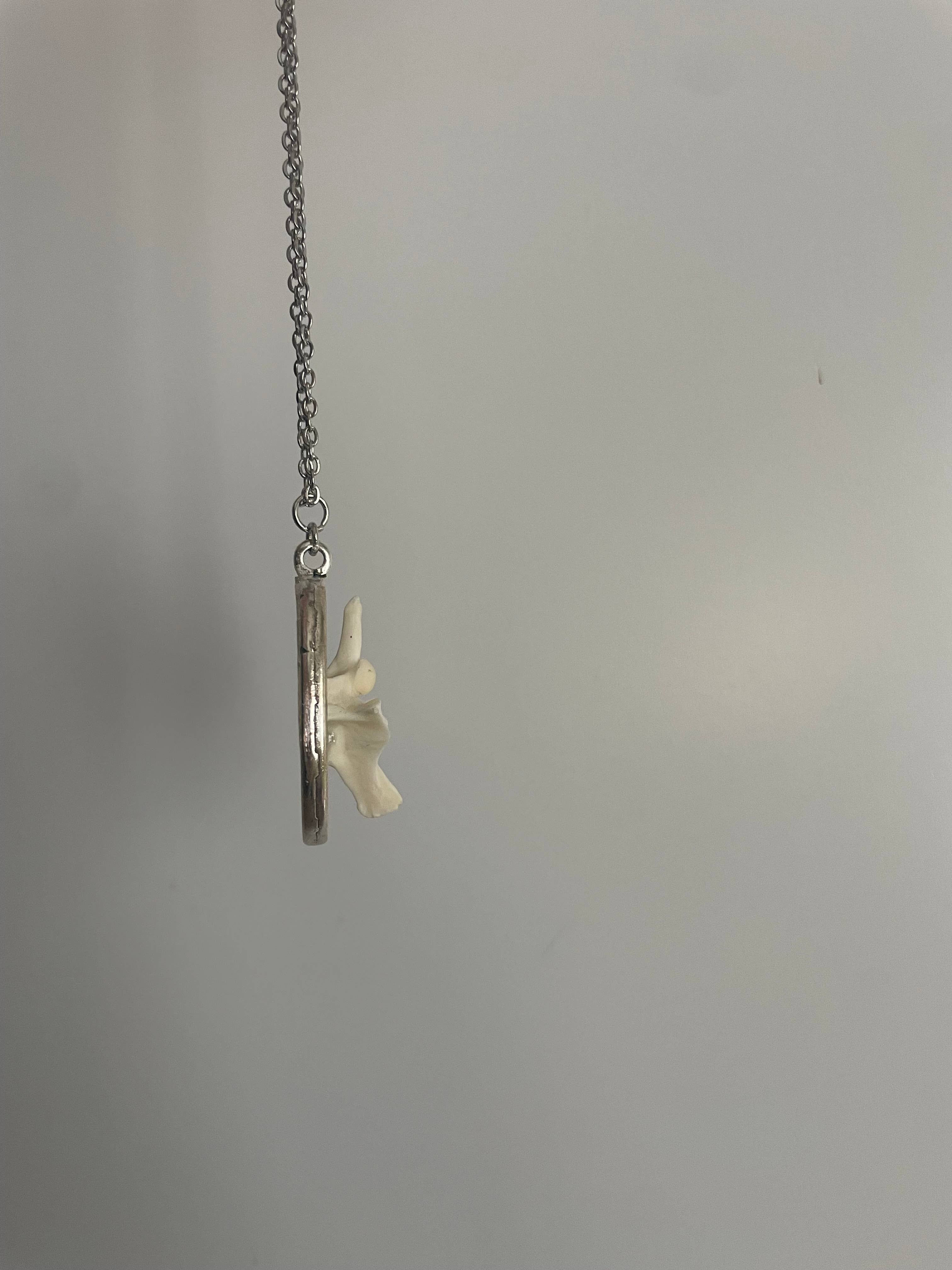 Oddity Necklace - Ball Python Vertebrae
