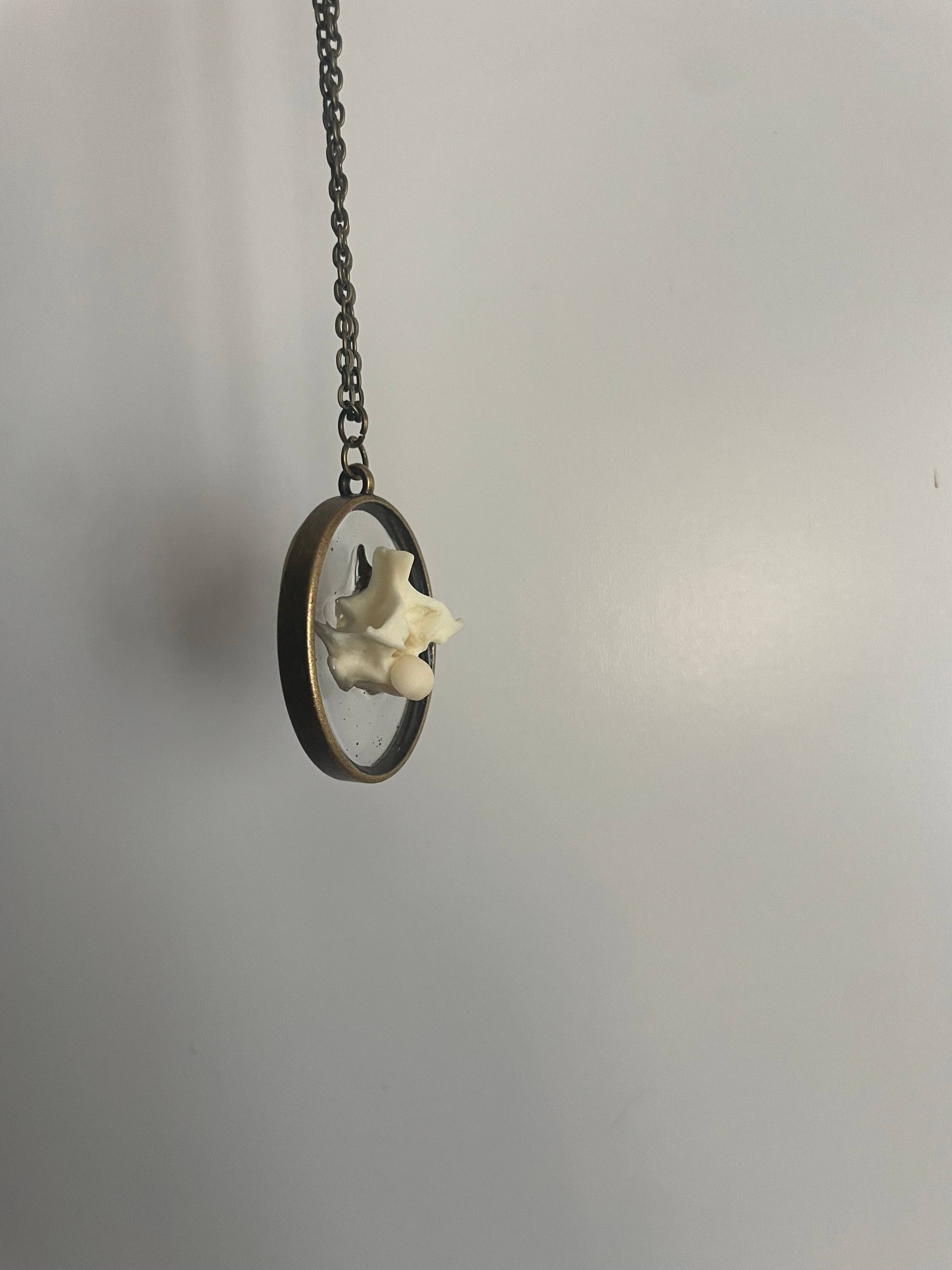 Oddity Necklace - Ball Python Vertebrae