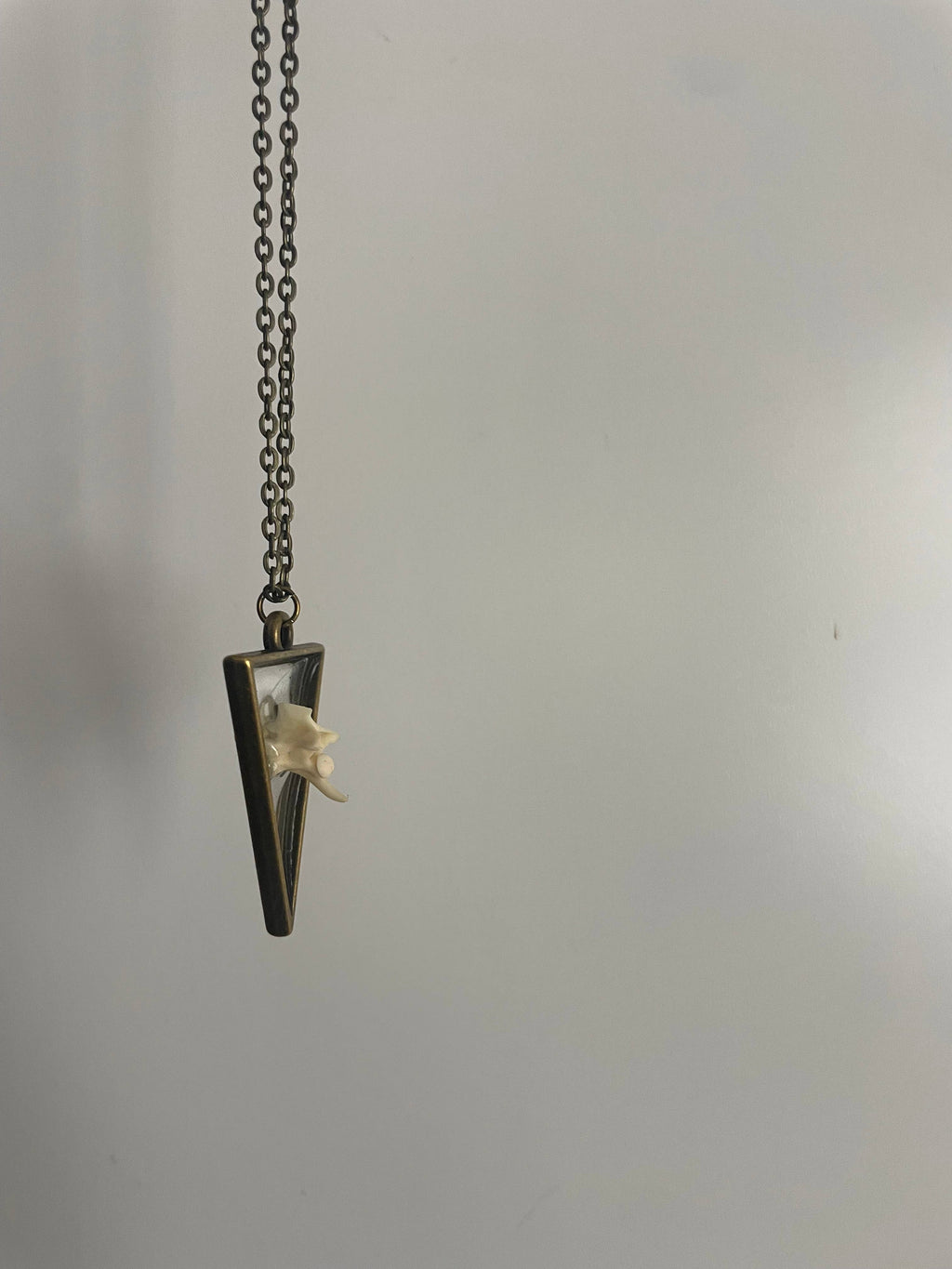 Oddity Necklace - Pygmy Rattlesnake Vertebrae