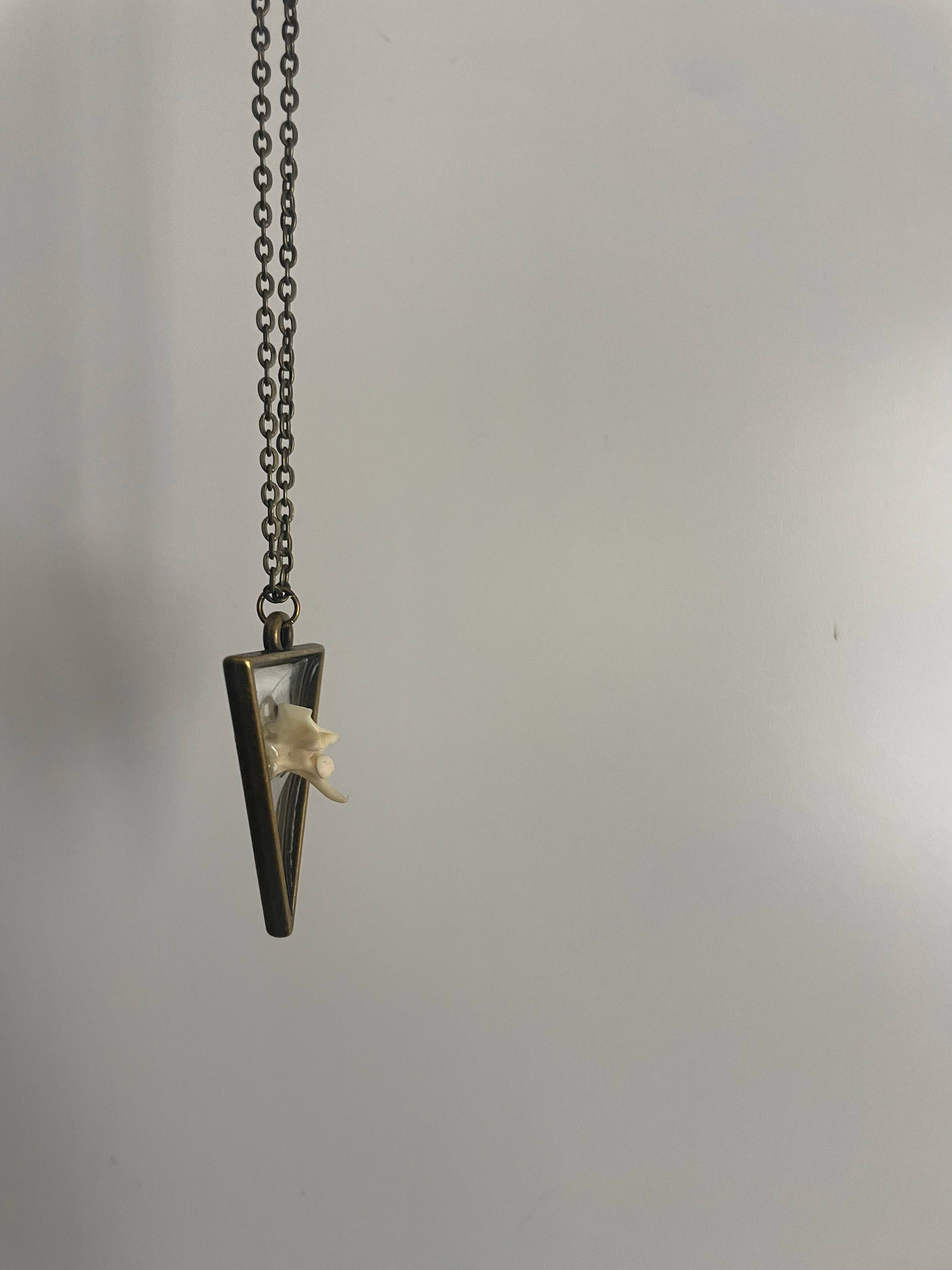 Oddity Necklace - Pygmy Rattlesnake Vertebrae