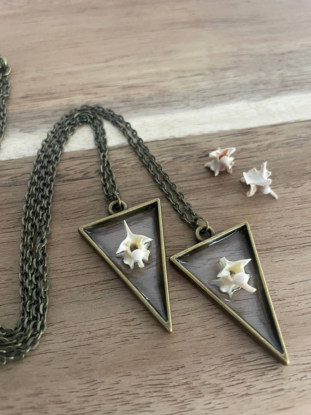 Oddity Necklace - Pygmy Rattlesnake Vertebrae
