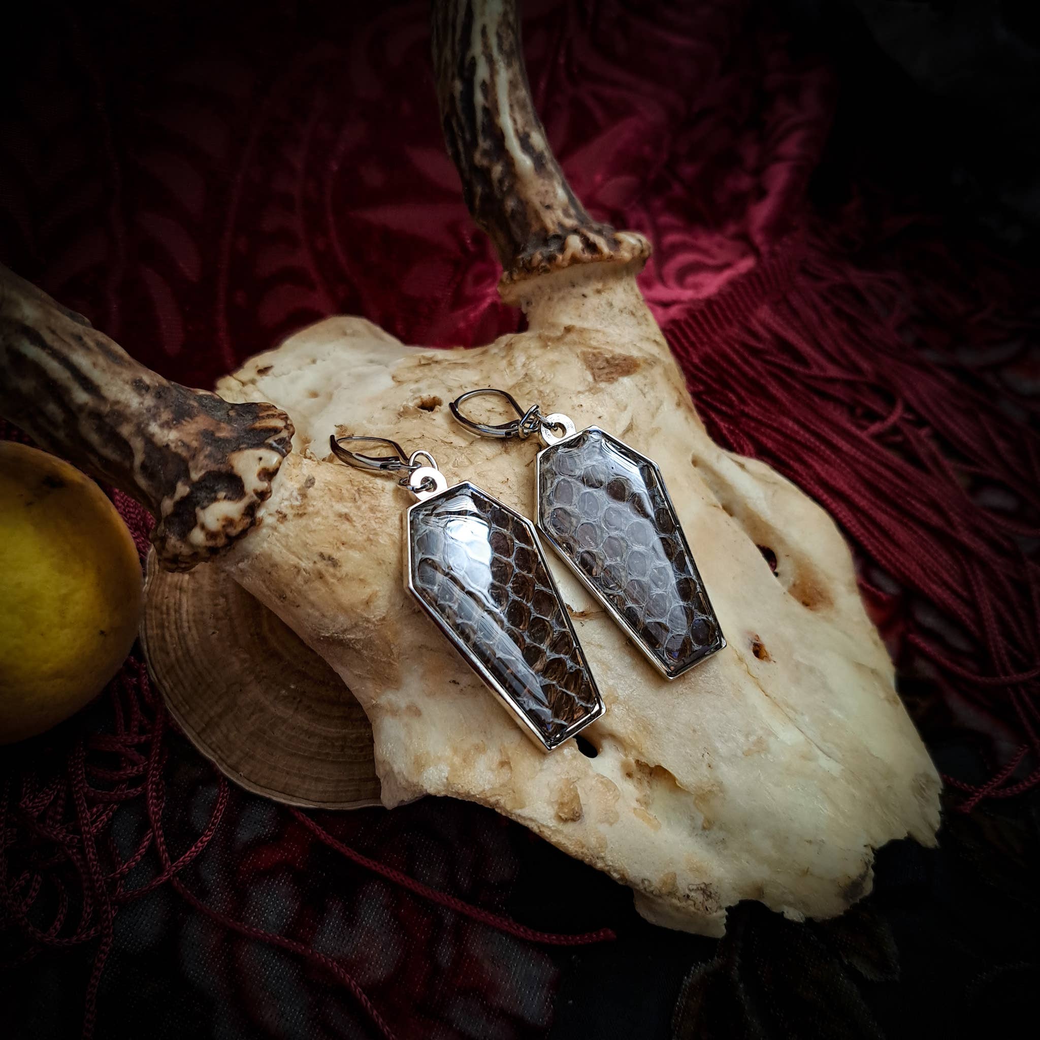 Assorted Holographic Snakeskin Coffin (Earrings )