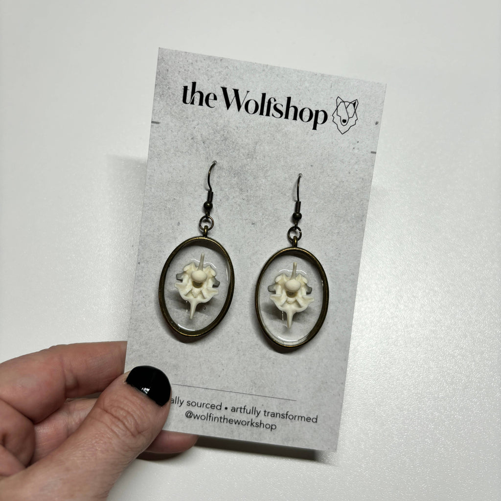Oddity Earring - Ball Python Vertebrae