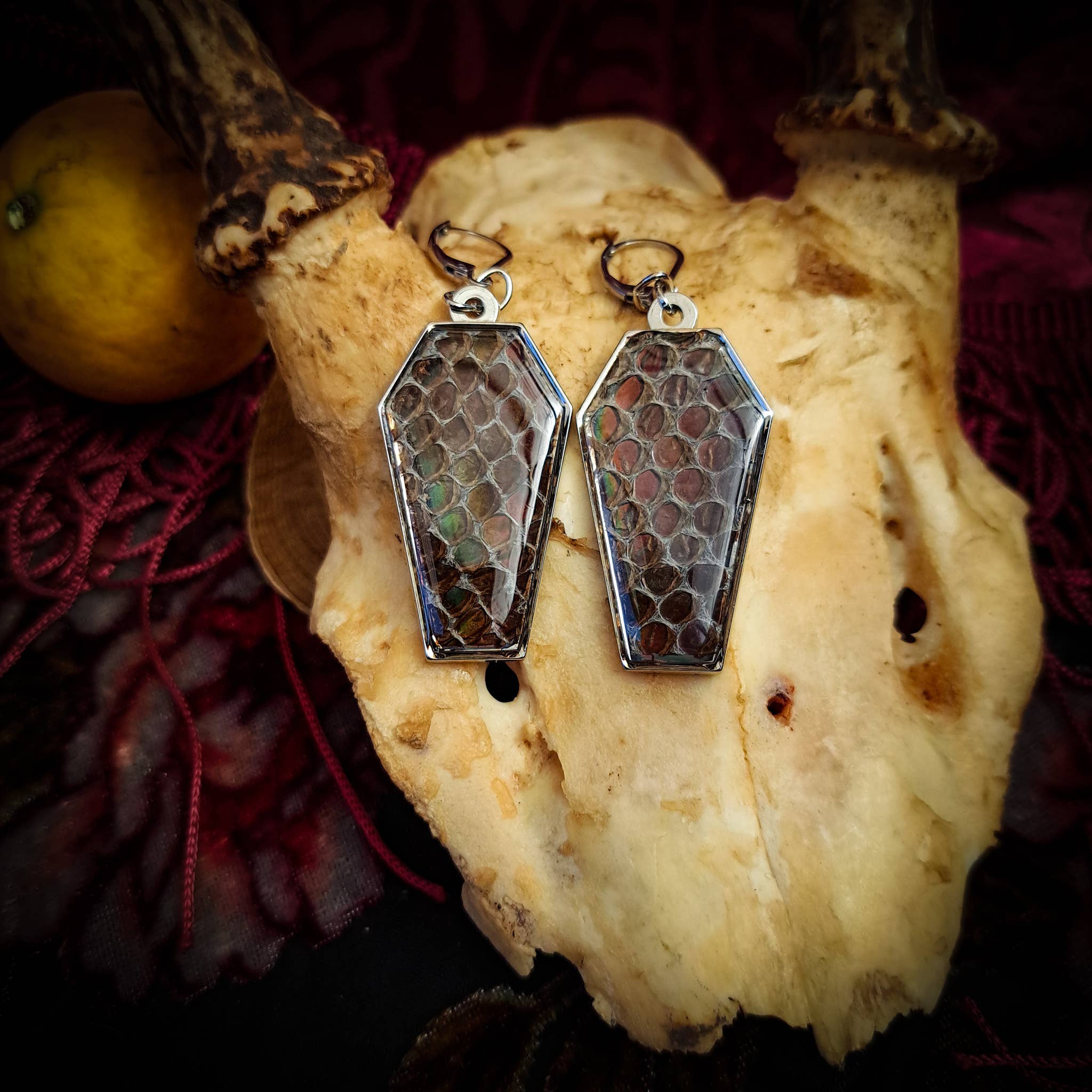 Assorted Holographic Snakeskin Coffin (Earrings )