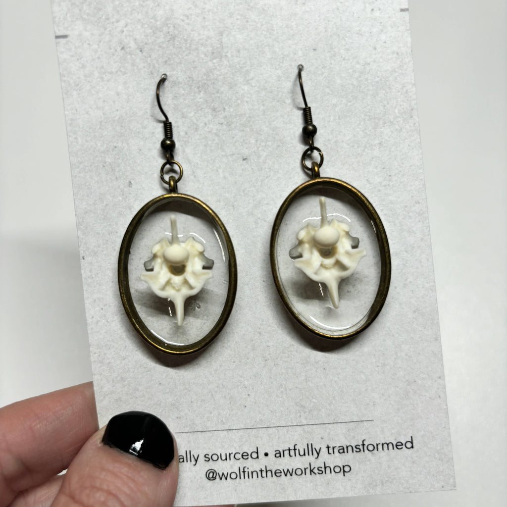 Oddity Earring - Ball Python Vertebrae