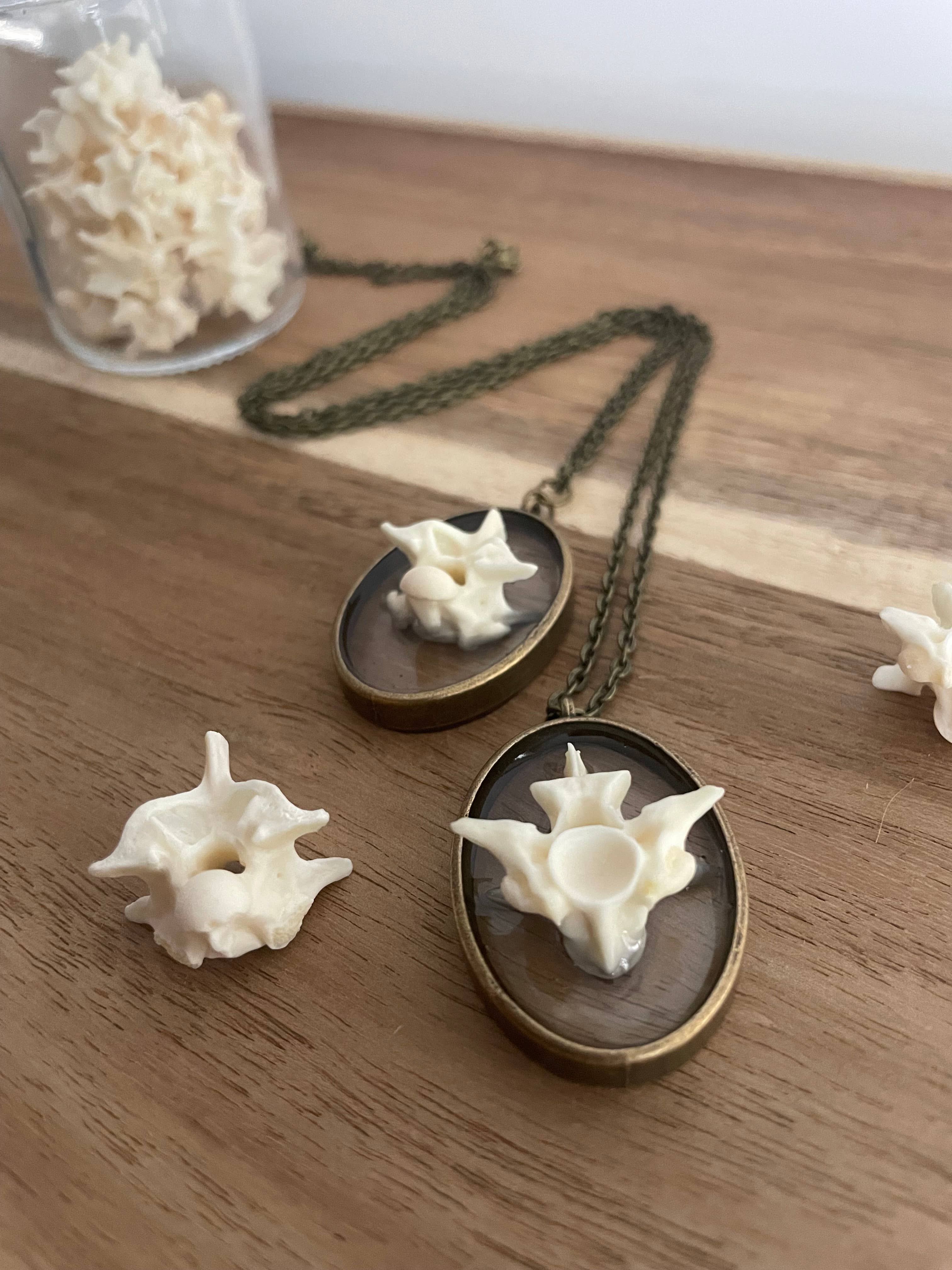 Oddity Necklace - Ball Python Vertebrae