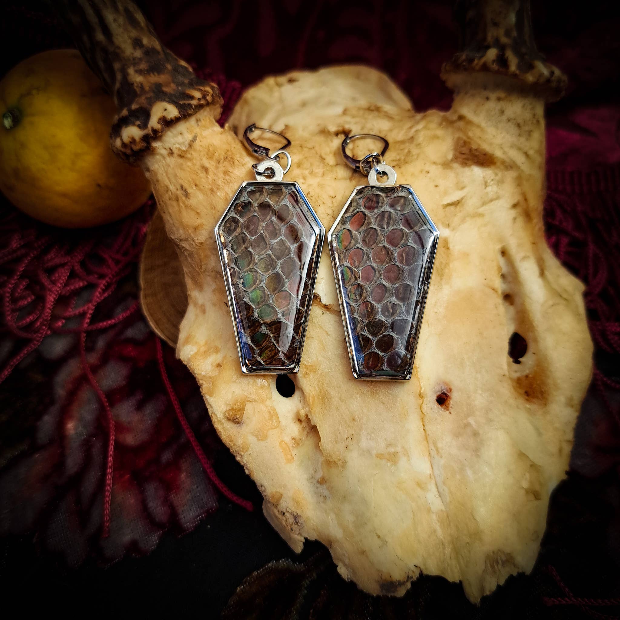 Assorted Holographic Snakeskin Coffin (Earrings )