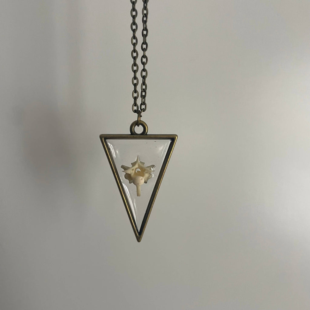 Oddity Necklace - Pygmy Rattlesnake Vertebrae
