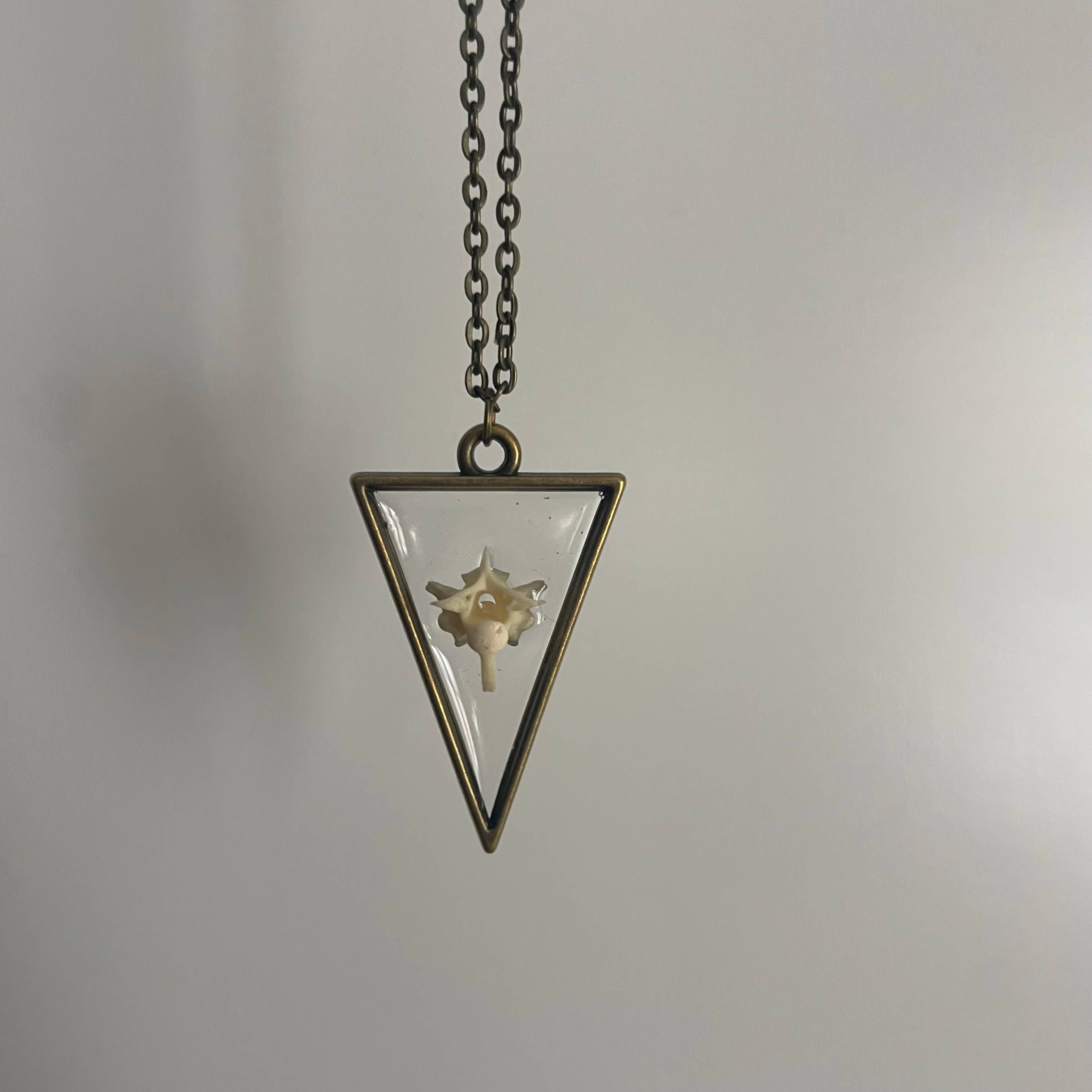 Oddity Necklace - Pygmy Rattlesnake Vertebrae