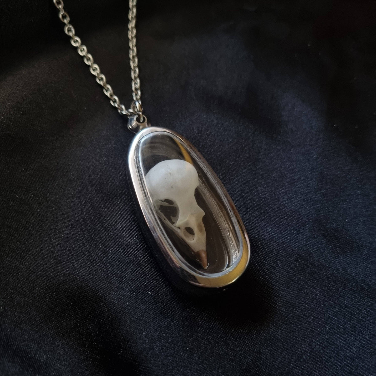 House Sparrow Skull Pendant