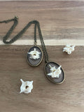 Oddity Necklace - Ball Python Vertebrae