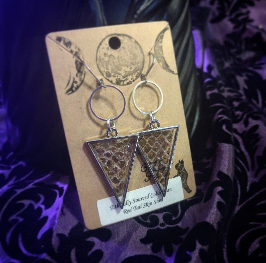 Snakeskin Shed Silver Tone Triangle (Earrings)