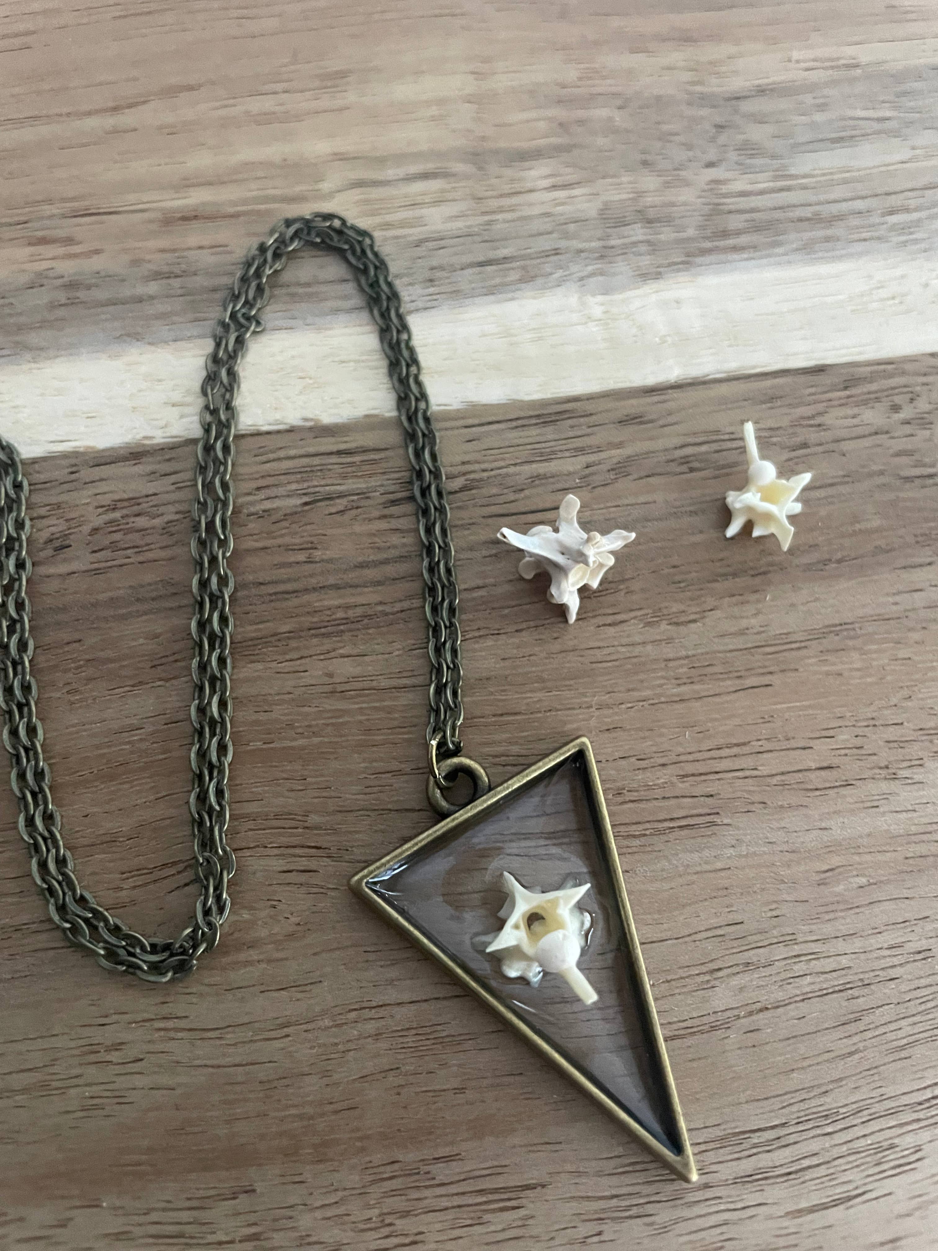 Oddity Necklace - Pygmy Rattlesnake Vertebrae